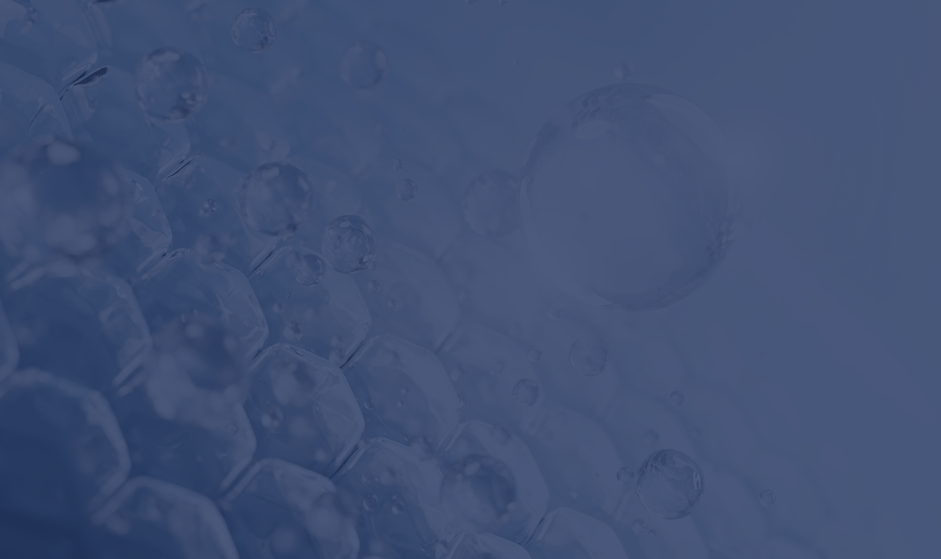 Section 5 Background